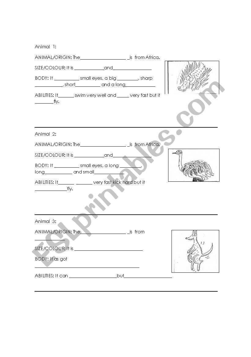 Animal`s description worksheet